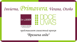 Primavera. Рестораны Москвы