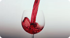 Novikov Catering на International Wine Expo. Рестораны Москвы