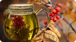 Осеннее предложение. Рестораны Москвы