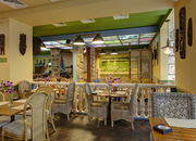 Кон-Тики Кон-Тики