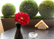 UB Юнионбет Cafe