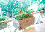 Premier terrace by Bocconcino