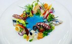 Кейтеринг Molecule Catering