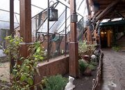 Сим-сим Сим-сим