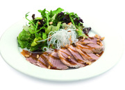 Республика суши