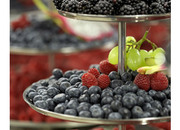 Novikov Catering