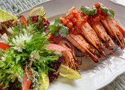 Роял Зенит II