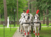 Дворянское гнездо