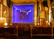 Aloha bar Aloha bar