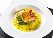 Бурый Лис и Ленивый Пес