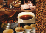 Бариста Бар